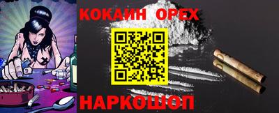 прущие крисы Кандалакша