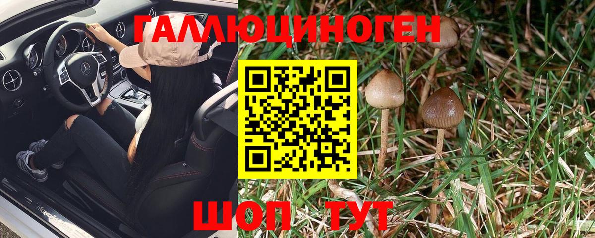 Галлюциногенные грибы Magic Shrooms Кызыл